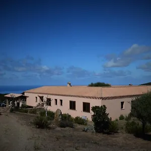 Costa Arbus